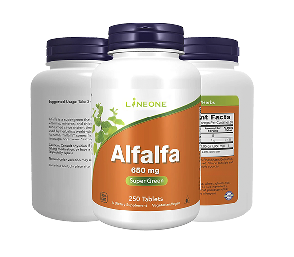 Rute in Ginkgo Alfalfa Herb Veggie Capsule 